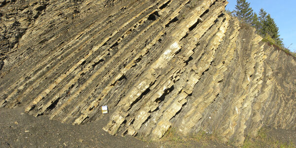 Turbidites