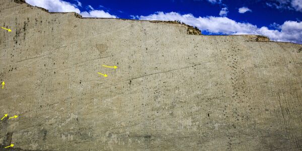 Cal Orcko dino trackways