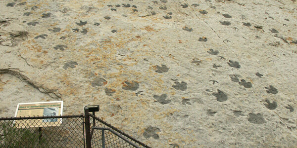 Dinosaur Ridge Trackway