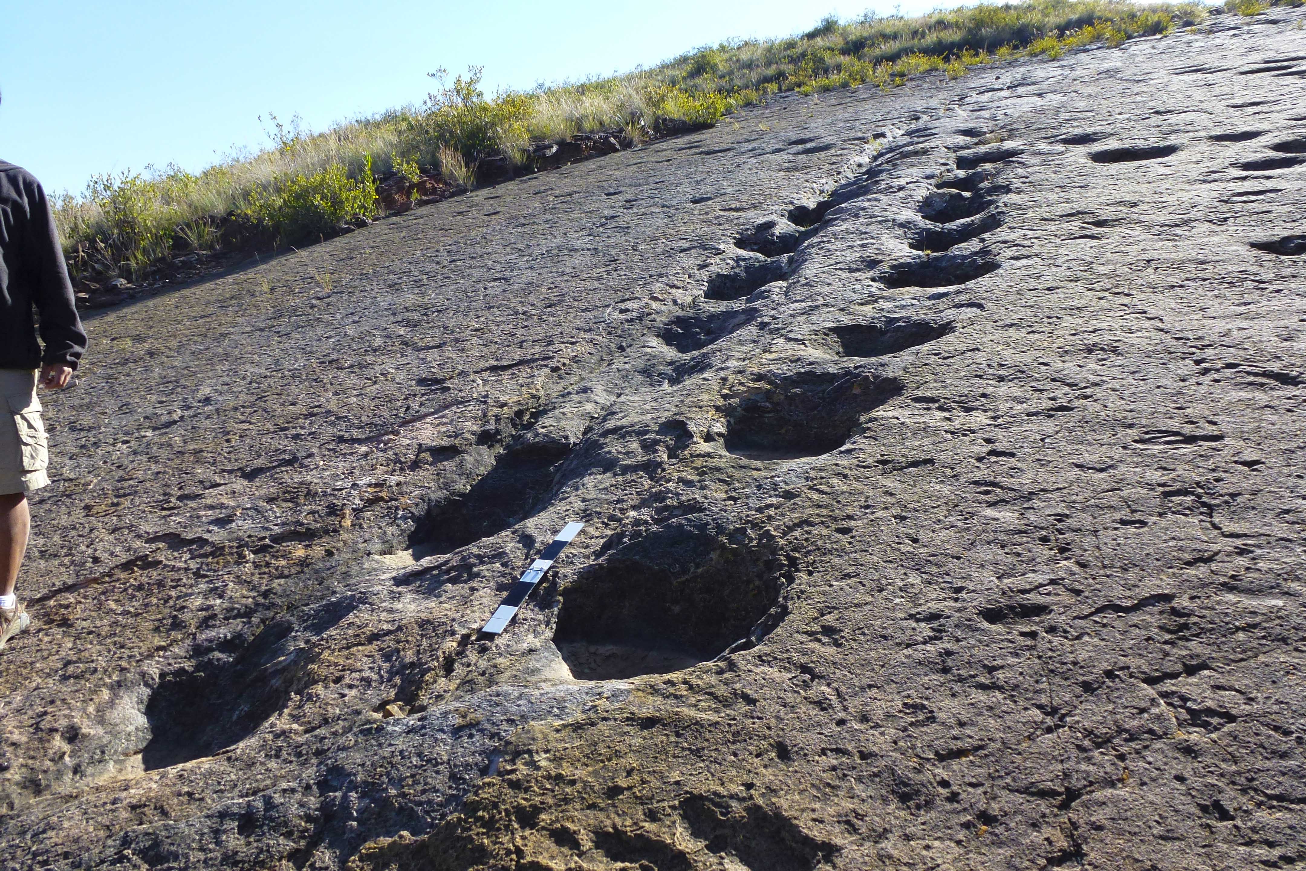 Dino-footprints-Toro-Toro-Bolivia-9W