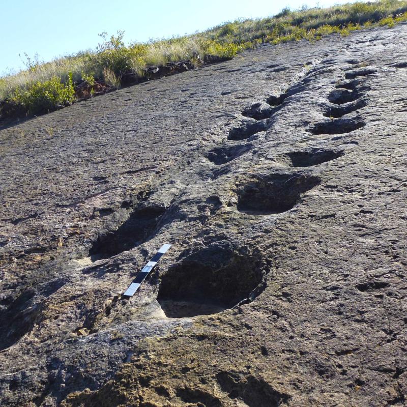 Dino-footprints-Toro-Toro-Bolivia-9W
